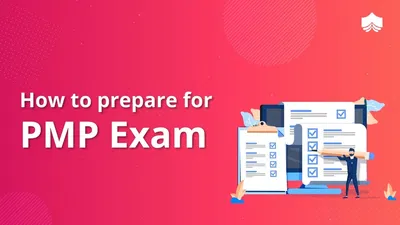 What is included in the Business Environment of the PMP exam?