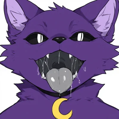CatNap   (multiple intro)