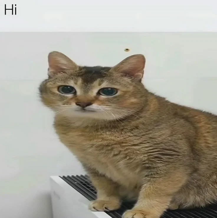 Uhhhhhh.......