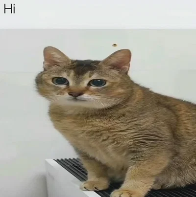 Uhhhhhh.......