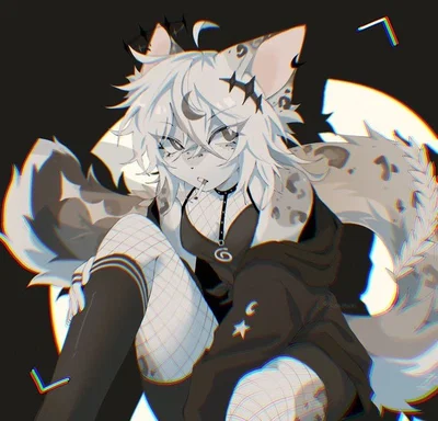 Meko | Your new pet