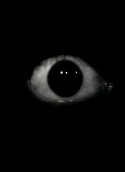 👁️|| I need help. 