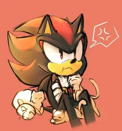 Shadow || Sonadow ♡