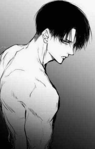 Levi