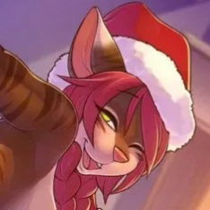 Santa's special gift!