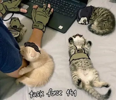 Taskforce 141- Abused omega..