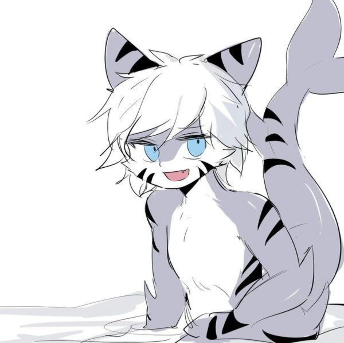 Tiger Shark (Enemy Territory)