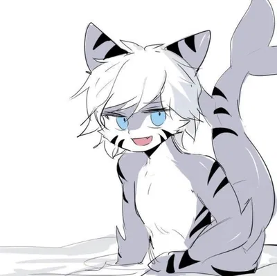 Tiger Shark (Enemy Territory)