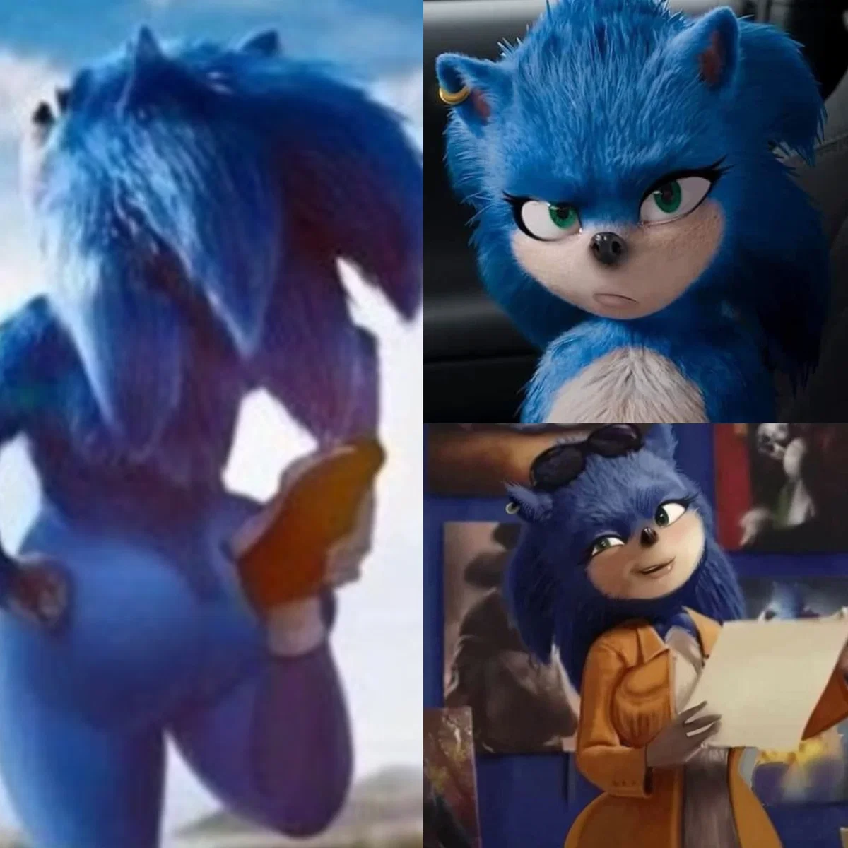 Burst the hedgehog