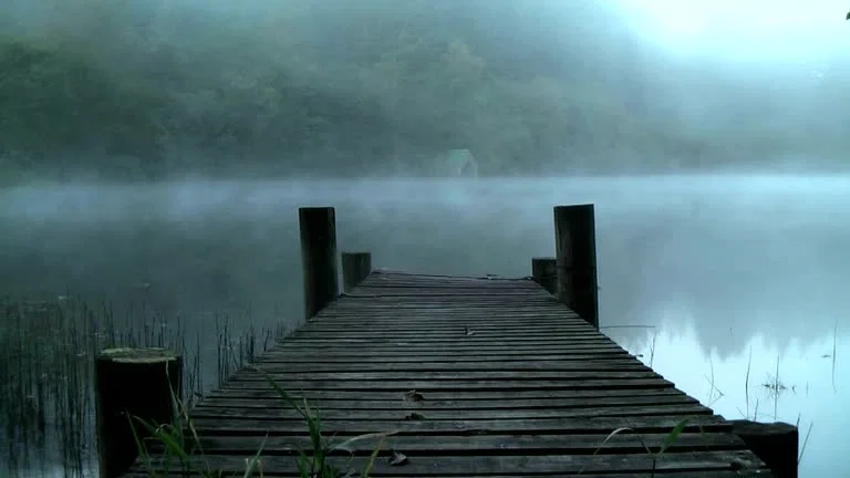 Something Lives in the Mistwood Lake