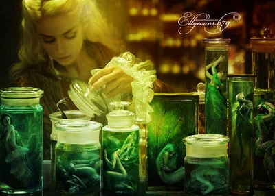 Tiny Collector Expeditions - Fairies