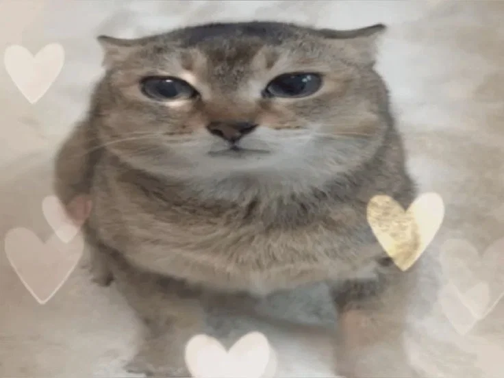 Hey. (Announcement bot)