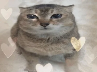 Hey. (Announcement bot)