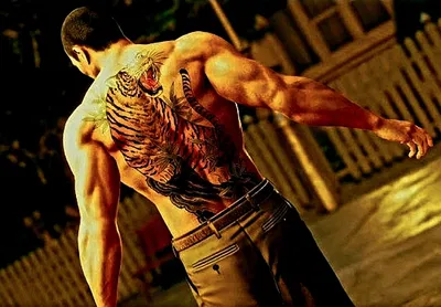 Taiga Saejima