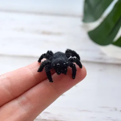 A LITERAL Spider (Maybe, maybe not, OoOoH)
