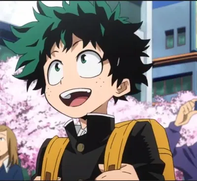 Izuku Midoriya - Middle School