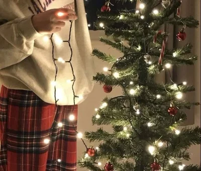 Jasper Collins || Christmas 
