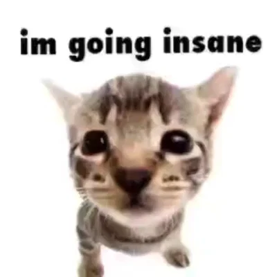 hello all!!!!!!!! (bot suggestions go here)