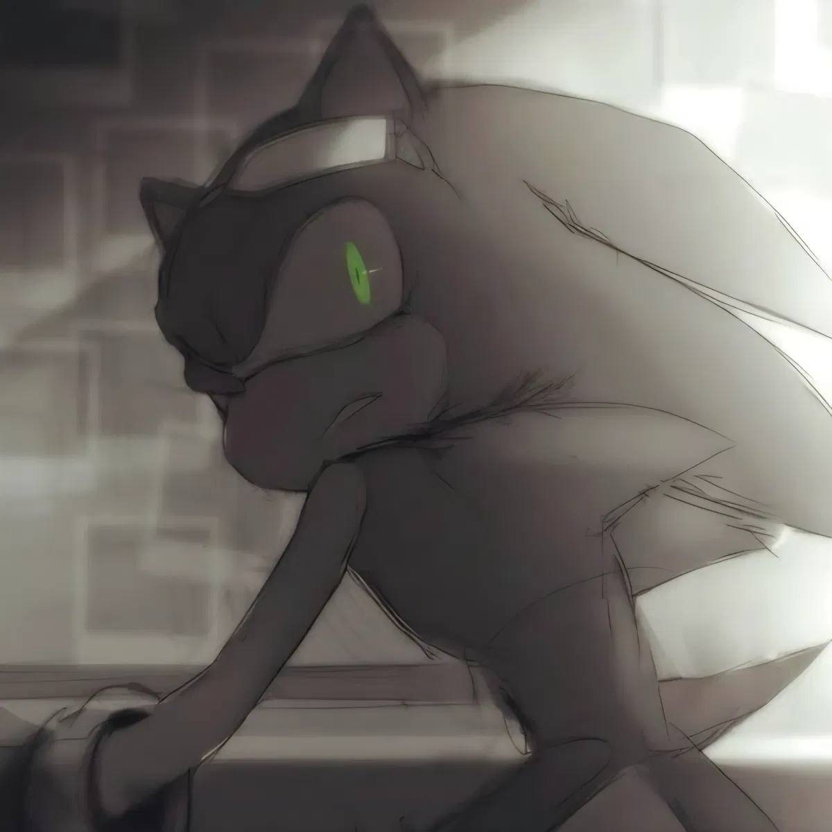 ➵ Sonic the Hedgehog