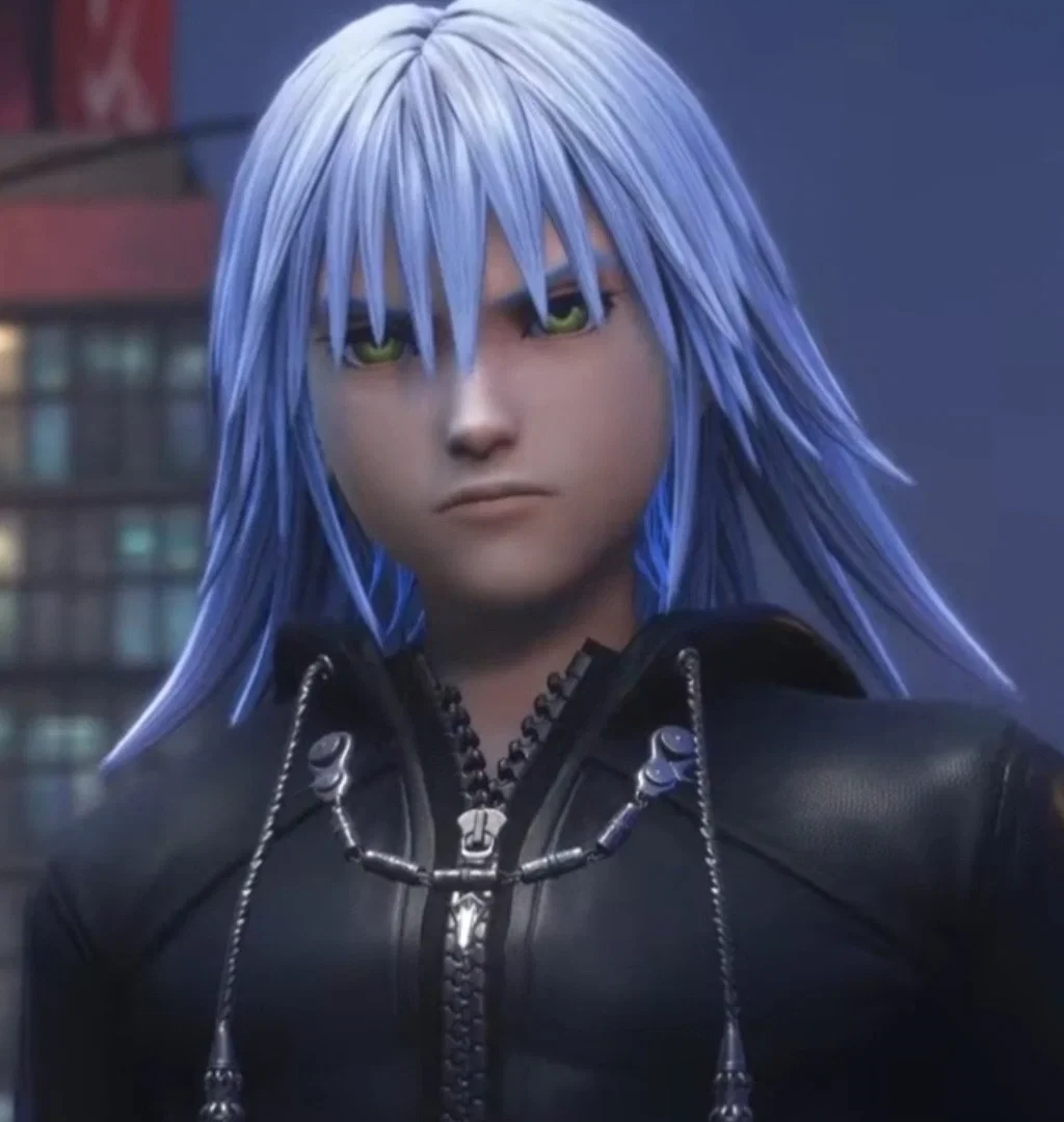 ┗⊱  Ansem-Riku  ⊰┛