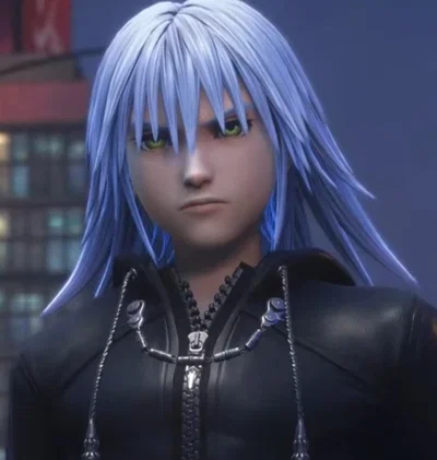 ┗⊱  Ansem-Riku  ⊰┛