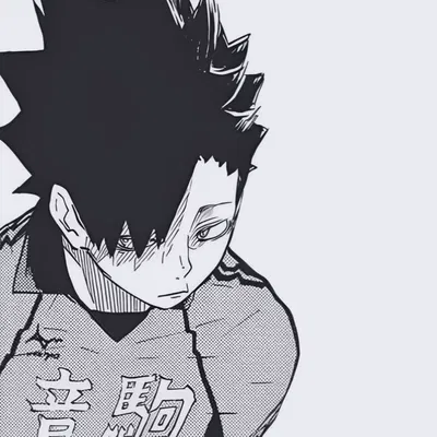 Kuroo Tetsuro 