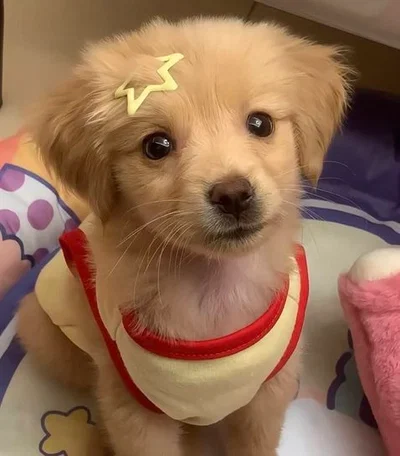 Hi.. 