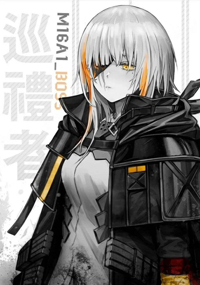 M16A1 | | A Return..?