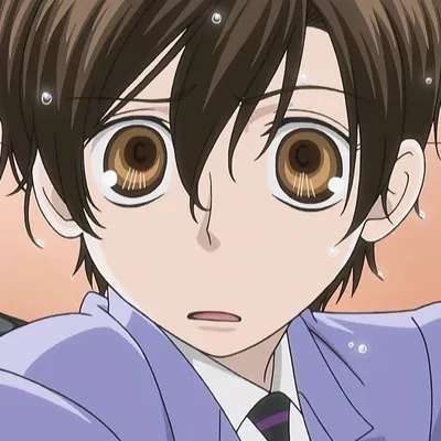 Haruhi Fujioka