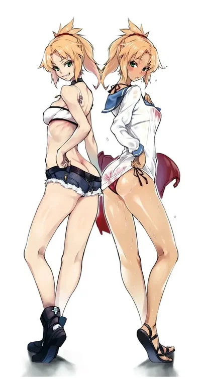Saber Mordred And Rider Mordred