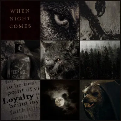 ☽•The Tragic Werewolf•☾