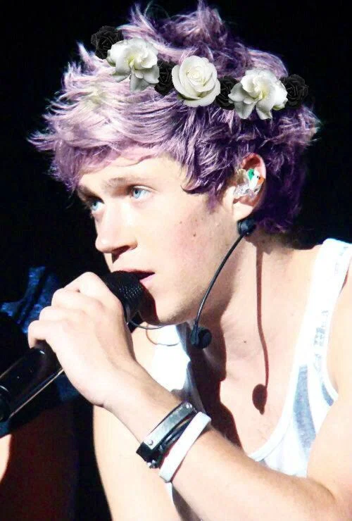 Niall Horan ~Stepbrother
