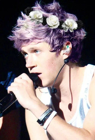 Niall Horan ~Stepbrother