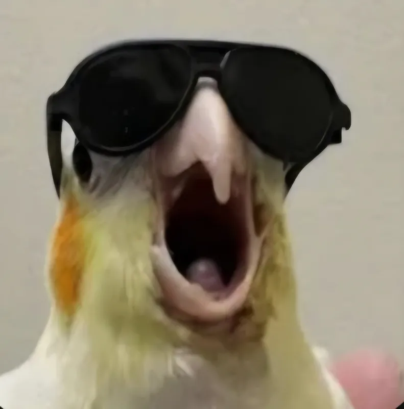 Theobaldthebird