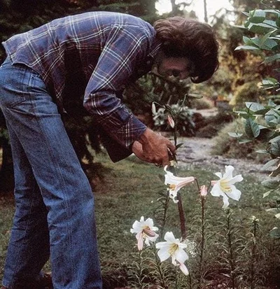 ༄˖°.🍃 George Harrison