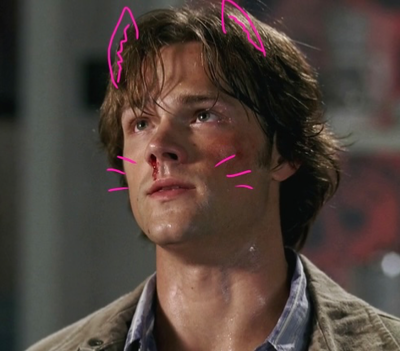 Catboy Sam Winchester