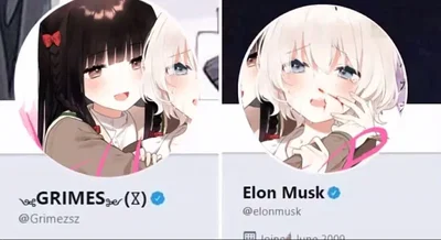 new bot  suggestion please