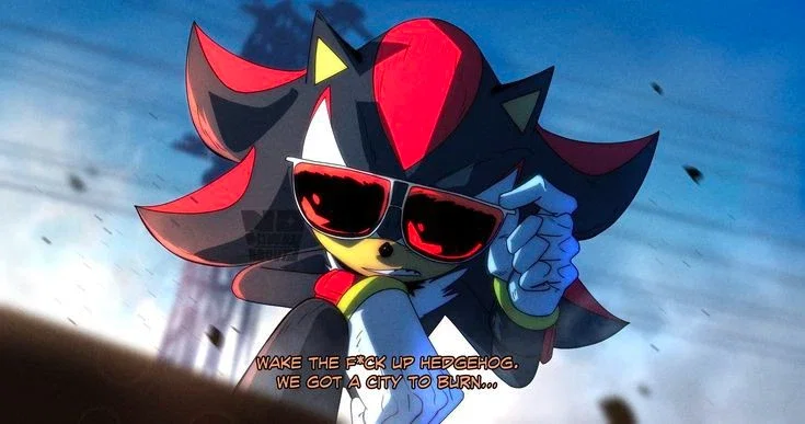 Shadow The Hedgehog 