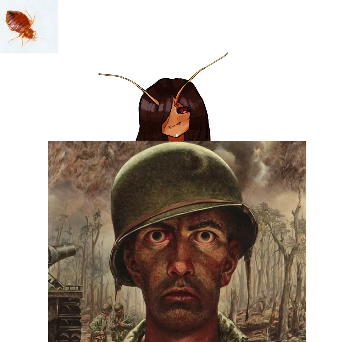 Bedelia, the bedbug in your mattress 
