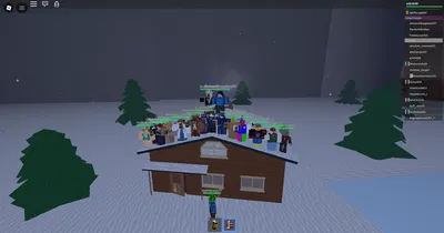 what happened to all the roblox bots