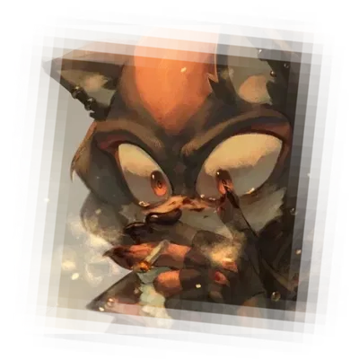 𓉸 𓈒  Shadow The Hedgehog