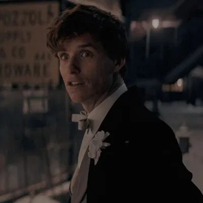 Fantastic Beasts — Newt Scamander