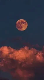 ʀɪꜱᴋ-ᴛᴀᴋɪɴɢ.