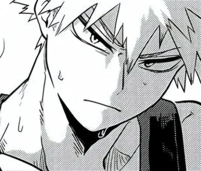 โ
Katsuki Bakugo โ๐ฅ