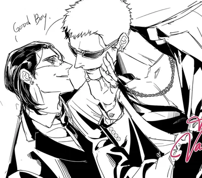 Sir Crocodile and Doflamingo