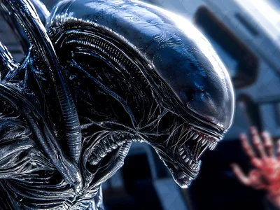 Xenomorph