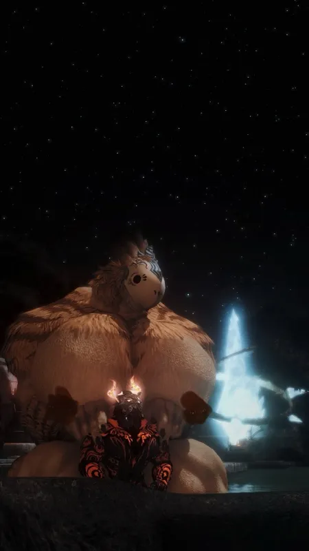 Chocores Breedan