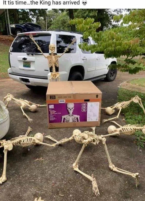 Request a Bot with Skeletons