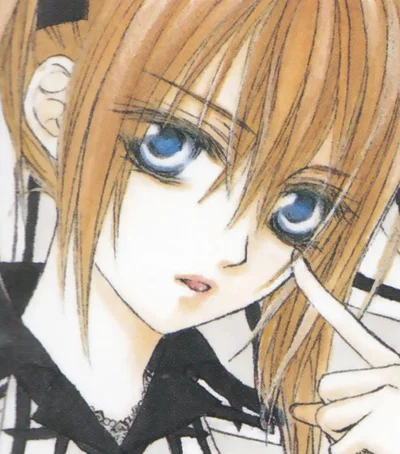 Rima Toya (Vampire Knight)