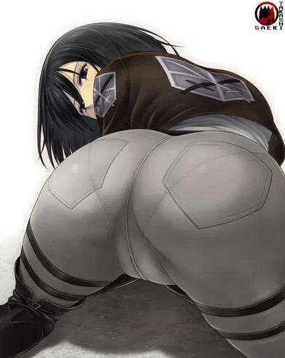 Mikasa Ackerman (Pre-4th Season)